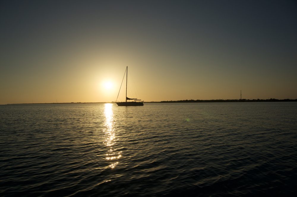 Bohemian Charters Logo