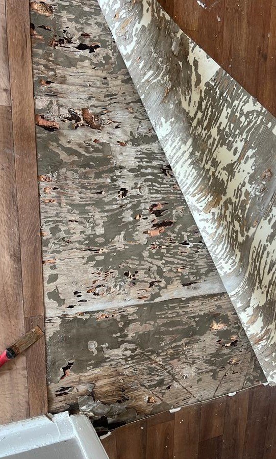 Slide of Fundora’s Brother’s