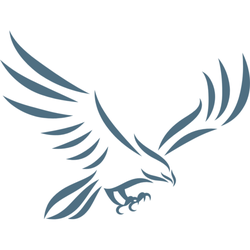 Eagle Eye Home Inspections