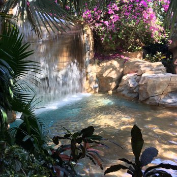 Discovery Cove - Amusement Parks Near Me - Orlando, Florida