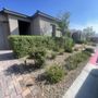 Photo of Leo Garcias Lawn Service