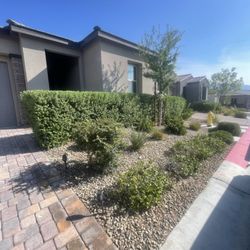 Leo Garcias Lawn Service
