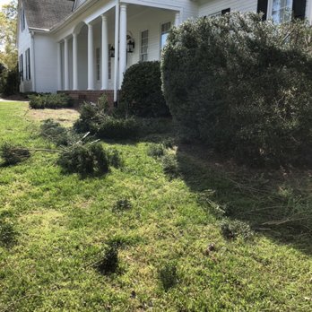 Beyond Green Landscaping - Trimming and trimming - Landscaping Near Me