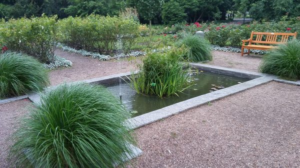 Botanical Garden of the University of Wrocław by null