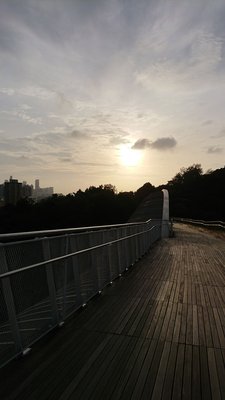 Photo of Henderson Waves - Singapore, SG, SG. Good morning, SG!