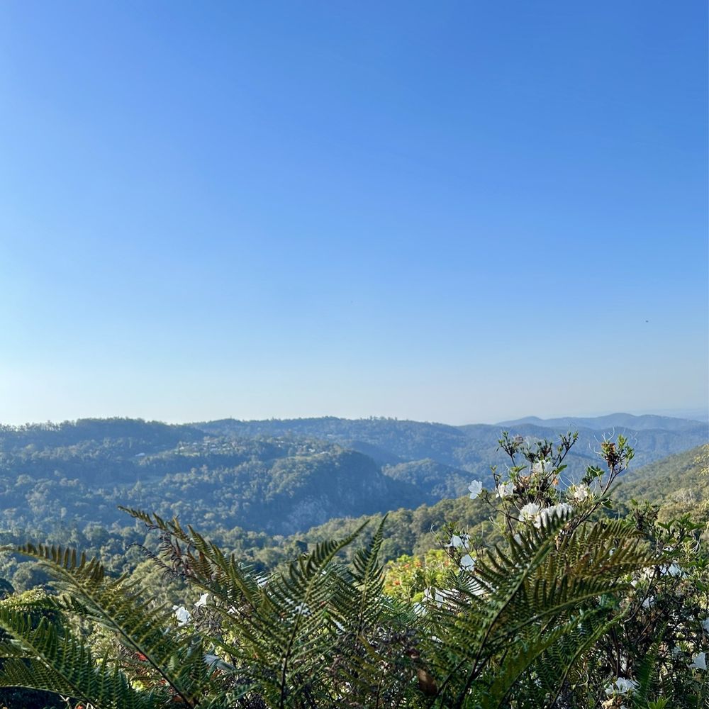St Bernards Hotel - Restaurants Near Me - Mount Tamborine, QLD