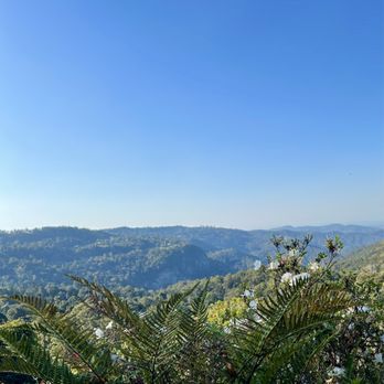 St Bernards Hotel - Restaurants Near Me - Mount Tamborine, QLD
