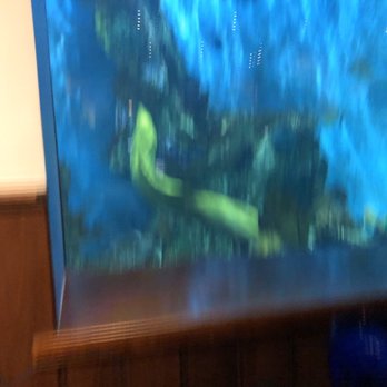 RumFish Grill - Eel - Seafood Near Me - St Pete Beach, Florida