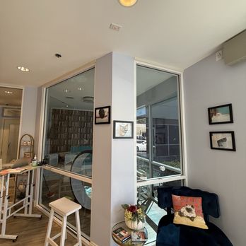 Club Cat - Lobby - Pet Boarding Near Me - Irvine, California Club Cat - Lobby - Pet Boarding Near Me - Irvine, California