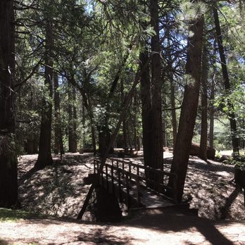 Observatory Campground - Site 10, view walking from parking spot to site 9 - Campgrounds Near Me - Palomar Mountain, California