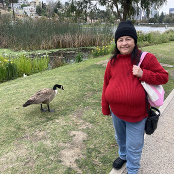 Echo Park Lake - Enjoying the nature and wildlife of Echo Park Lake - Parks Near Me - Los Angeles, California