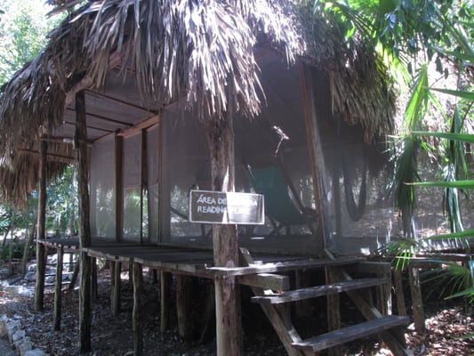 Jardín Botanico Dr. Alfredo Barrera Marín by null