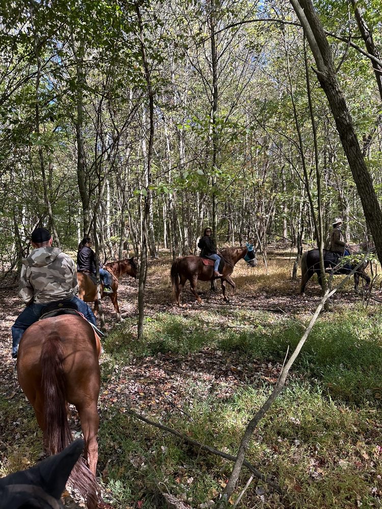 Equestrian Ridge Farm - equestrian in New Plymouth, OH