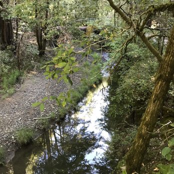 Montgomery Woods State Reserve - South fourth big river - Parks Near Me - Ukiah, California