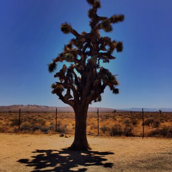 Boron Rest Area - Rest Stops Near Me - Boron, California