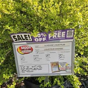 Moon Valley Nurseries - Nurseries & Gardening Near Me - Peachtree City, Georgia