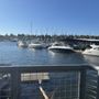 Photo of Thunderbird Marina