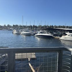Thunderbird Marina - Street View