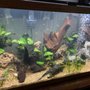 Photo of Thee Abyss Aquarium Service