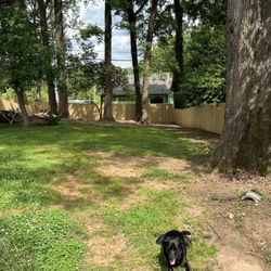 AD Fences and Decks