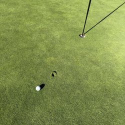 Great shot