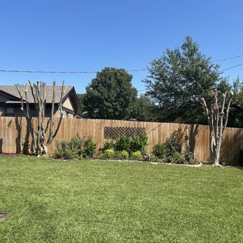 Arbor Pro Tree Service - Before and after photos. Trim tree's away from the power line. - Tree Services Near Me Arbor Pro Tree Service - Before and after photos. Trim tree's away from the power line. - Tree Services Near Me