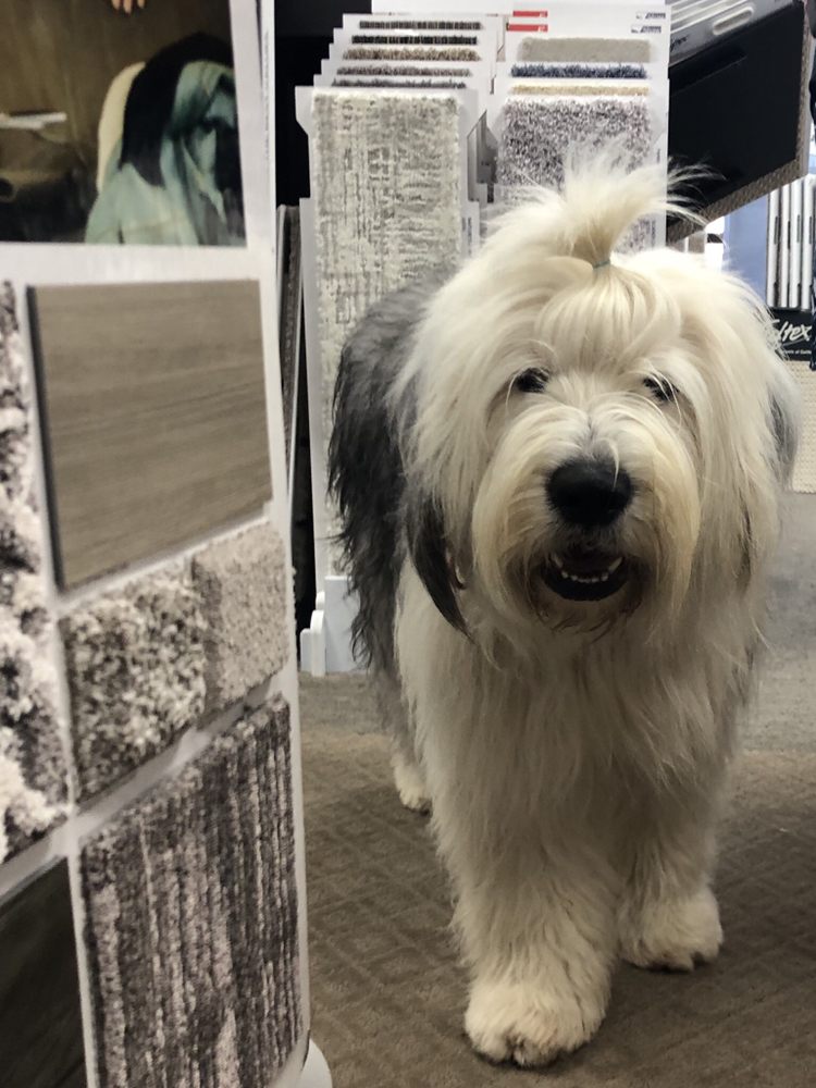 DIRECT CARPET UNLIMITED OCEANSIDE 39 Photos 4651 College Blvd