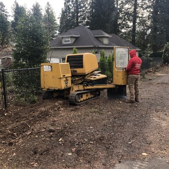 Monkey Tree Service - 2020 job - Tree Services Near Me - Hillsboro, Oregon Monkey Tree Service - 2020 job - Tree Services Near Me - Hillsboro, Oregon