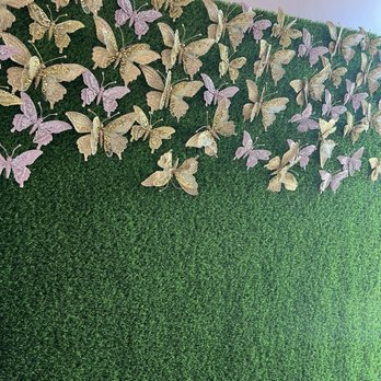 Plated Dreams - Love all the adorable backdrops. - Cafes Near Me - Woods Cross, Utah Plated Dreams - Love all the adorable backdrops. - Cafes Near Me - Woods Cross, Utah