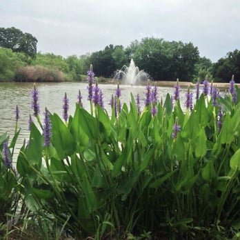 Veterans Park - Parks Near Me - Arlington, Texas Veterans Park - Parks Near Me - Arlington, Texas