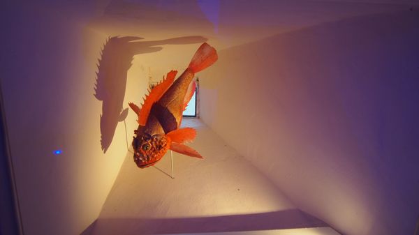 Citadelle de Saint-Tropez - Musée d'histoire maritime by null