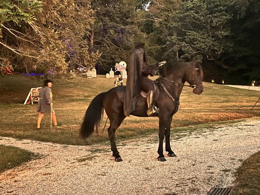 Washington Irving's Sunnyside by null