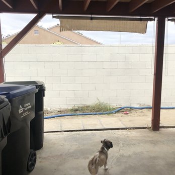 Mark Remove All Junk - After!! - Junk Removal & Hauling Near Me Mark Remove All Junk - After!! - Junk Removal & Hauling Near Me