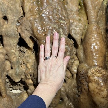 Inner Space Cavern - We had rules. No touching! But you could touch this 1 spot - Tours Near Me - Georgetown, Texas