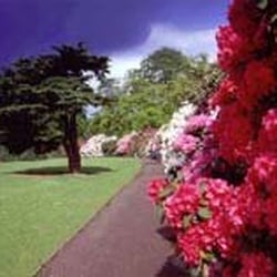 Temple Newsam - Taken from official website