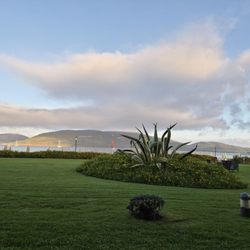 Corte Rosada - View from the breakfast restaurant