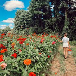 Parlee's Farm