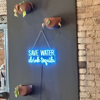 Gato Taco & Tequila - On the wall! - Mexican Near Me - Irwin, Pennsylvania