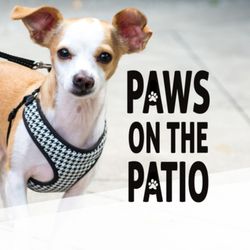 Johnny's Grill & Pizzeria - FREE doggie scoop with a bone