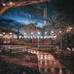 The Backyard Social Club