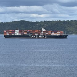 Salty's at Redondo Beach - Passing cargo ship