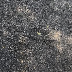 B&C Paving And Masonry