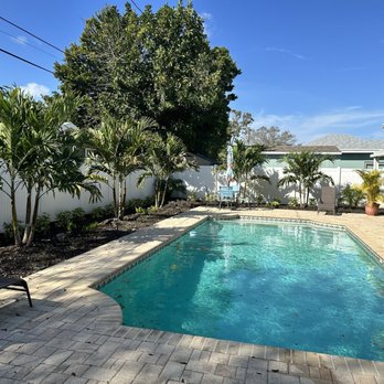 All Grounds Covered Management - New landscaping along the fence - Landscape Architects or Designers Near Me - Clearwater, Florida All Grounds Covered Management - New landscaping along the fence - Landscape Architects or Designers Near Me - Clearwater, Florida