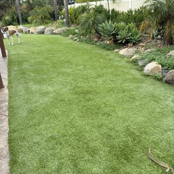 Furry Friends Waste Removal - Pet Waste Removal Near Me