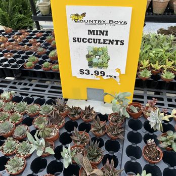 Country Boy's - Nurseries & Gardening Near Me - Greenville, South Carolina