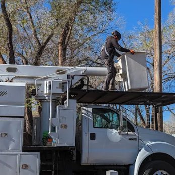 Terry's Tree Service - Tree Services Near Me