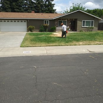 Creative Tree - almost complete. - Tree Services Near Me - Visalia, California Creative Tree - almost complete. - Tree Services Near Me - Visalia, California