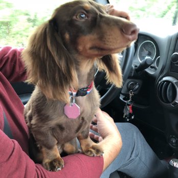 PetSmart - Pet Training Near Me - O'Fallon, Missouri PetSmart - Pet Training Near Me - O'Fallon, Missouri