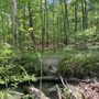 Photo of West Neck Creek Natural Area