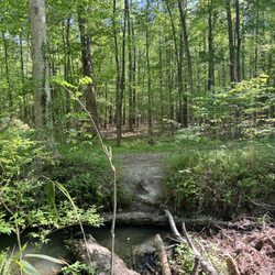 West Neck Creek Natural Area